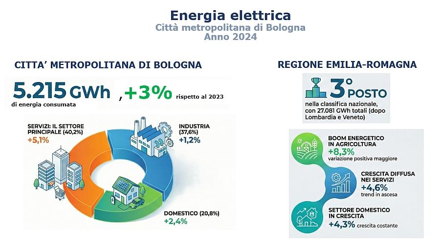 immagine infografica  energia elettrica 2024